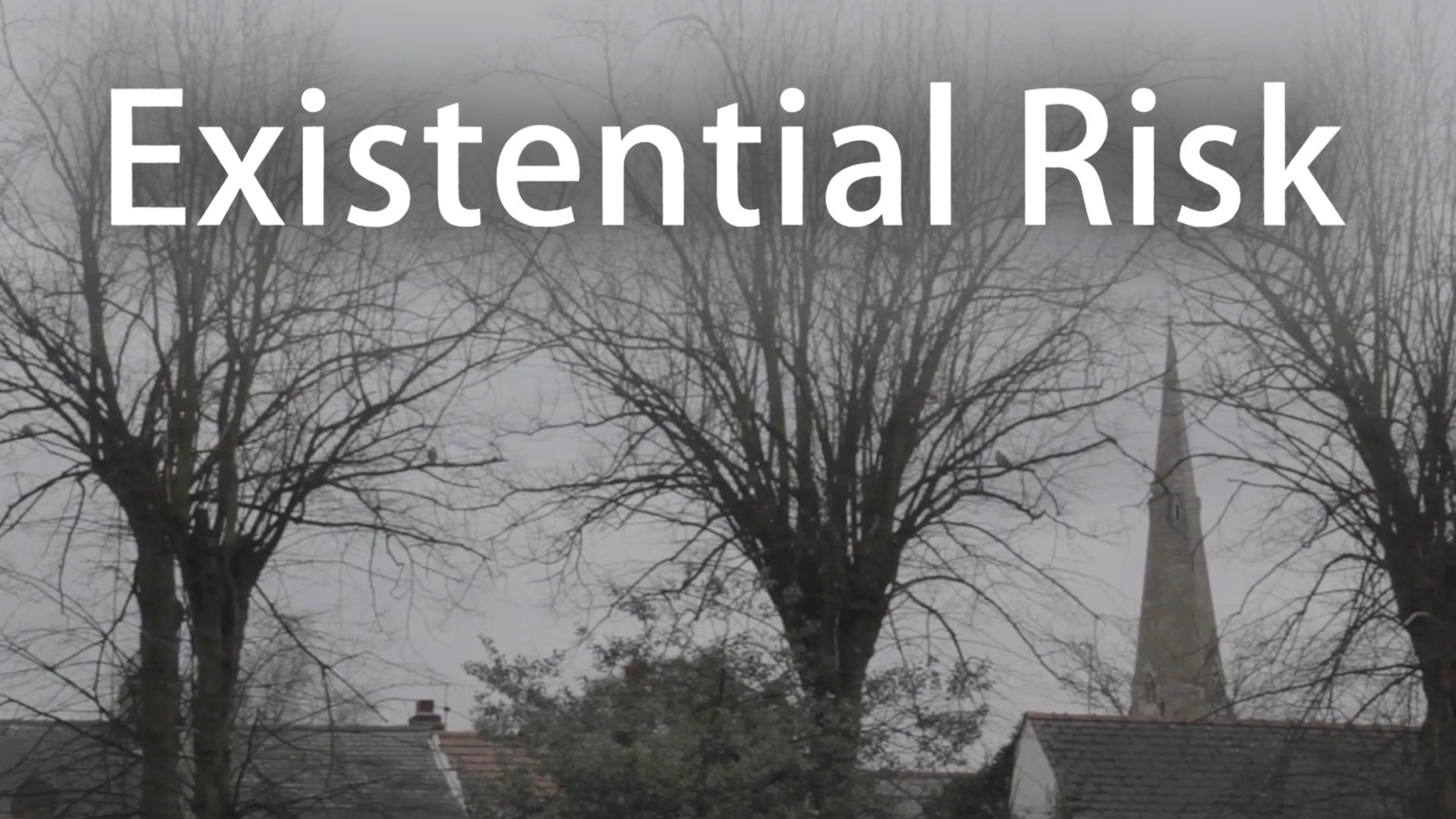 Existential Risk poster